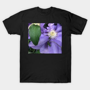 Purple Clematis the Tender Celestial Climber T-Shirt